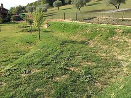 Agriturismo Tenuta del Daino