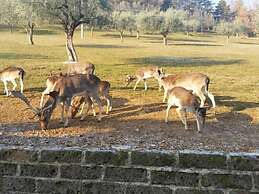 Agriturismo Tenuta del Daino