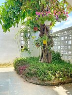 Hoi An Cabbage Garden