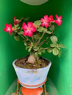 Casa Porto Hospedaria