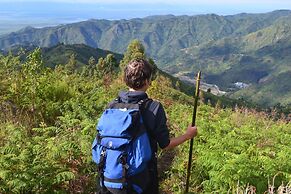 Blue Agama Guesthouse