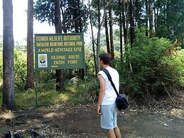 Blue Agama Guesthouse