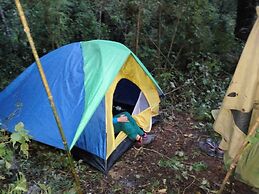 Blue Agama Guesthouse