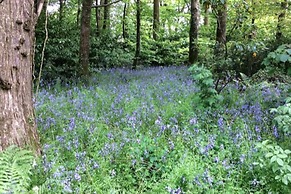 5 Luxury Shepherds Hut Mobile Home
