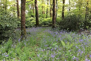 5 Luxury Shepherds Hut Mobile Home