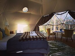 Tui's Nest Glamping
