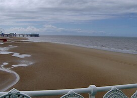 Stay With Empire- Dickson Road