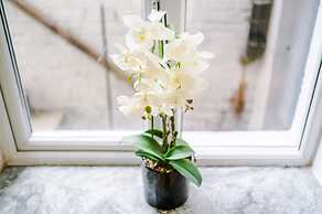 Stay With Empire- Dickson Road