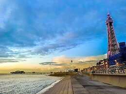 Stay With Empire- Dickson Road