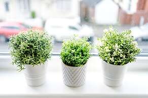 Stay With Empire- Dickson Road