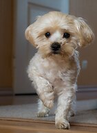 Stay With Empire- Dickson Road