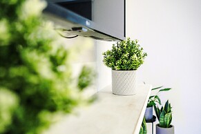 Stay With Empire- Dickson Road