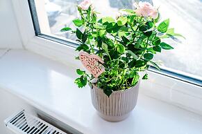 Stay With Empire- Dickson Road