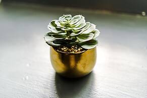 Stay With Empire- Dickson Road