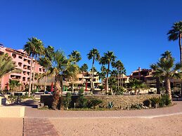 Pinacate 315 by Kivoya