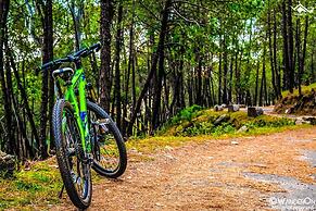 Billing Vista Guest House