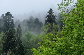Apartment Monolith Black Forest
