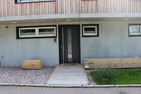 Apartment Monolith Black Forest