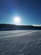 Apartment Monolith Black Forest