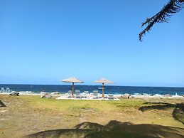 Sealofts On The Beach