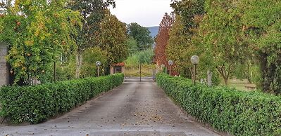 B&B Ricci by holidayngo