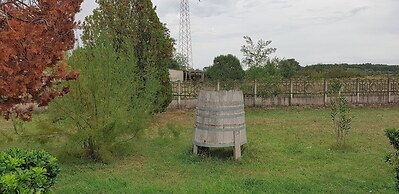 B&B Ricci by holidayngo