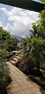 Green Village Kotor