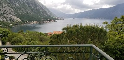 Green Village Kotor