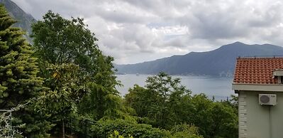 Green Village Kotor
