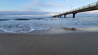 Ferienwohnung Walfisch