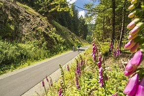 Vakantiehuisje Winterberg
