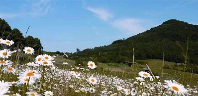 Vakantiehuisje Winterberg