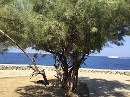 Poseidon Secret Blue Pools