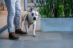 Stadía Suites Querétaro Centro Histórico