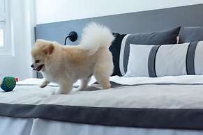 ibis Styles Buenos Aires Florida