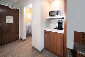 Hilton Garden Inn Fremont Milpitas