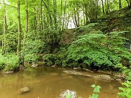 Classy Apartment in Bohon With Garden