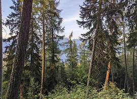 Spacious Chalet near Forest