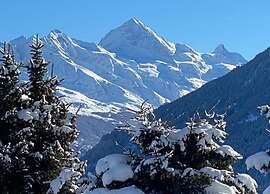 Spacious Chalet near Forest
