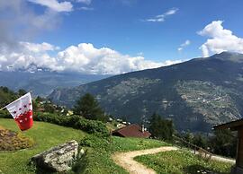 Spacious Chalet near Forest