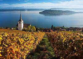 Glacier Views & Ski Trails