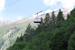 Glacier Views & Ski Trails