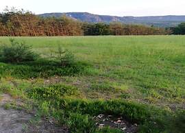 Apartment in Lichtenhain With Garden