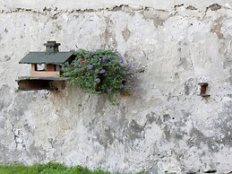 Apartment in Allrode With Terrace