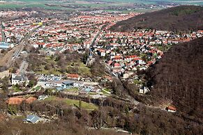 Home With Lots of Light and a Great View