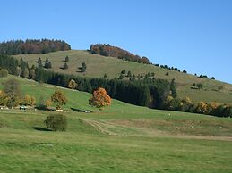 Apartment for 2 Adults & 2 Children near Ski Resort in Black Forest