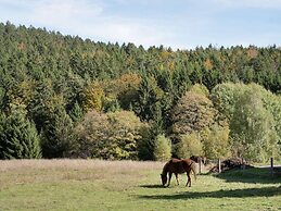 Apartment for 2 Adults & 2 Children near Ski Resort in Black Forest