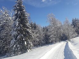 Apartment for 2 Adults & 2 Children near Ski Resort in Black Forest