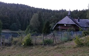 Apartment for 2 Adults & 2 Children near Ski Resort in Black Forest