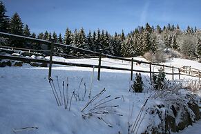 Flat Near the ski Area in Urberg